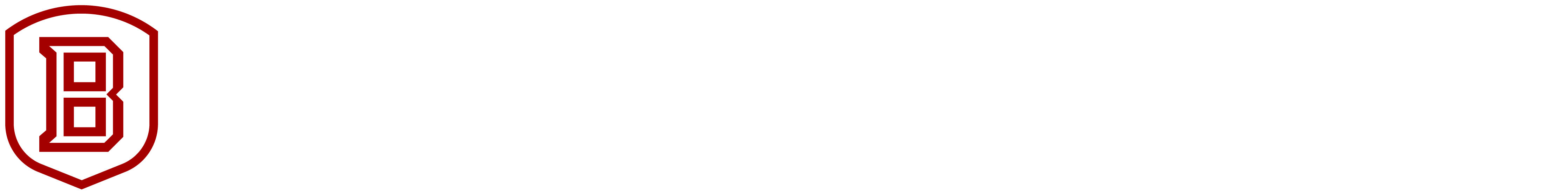 Bradley Logo